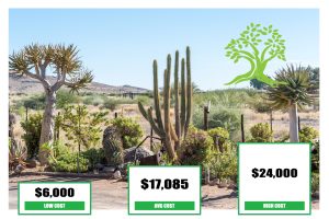 Xeriscaping Yard Costs